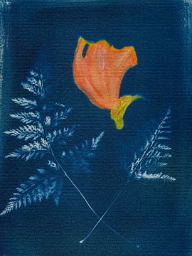 In the Shadow of Blue by Piret Victoria Ribas Photography