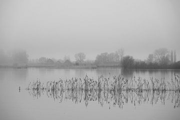 Reflectie in een mistige IJssel van Elisabeth