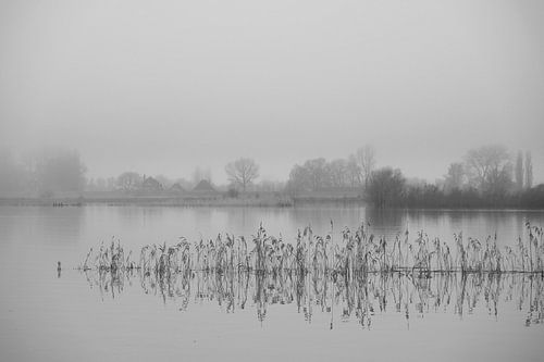 Reflection in a misty river IJssel