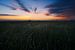 Zonsondergang polder Mastenbroek van Rick Kloekke
