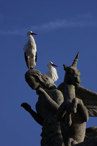 Tiere; Storch; Tiere von Foto's door Astrid