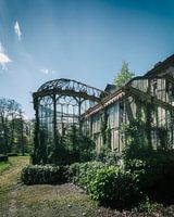 The Lost Greenhouse