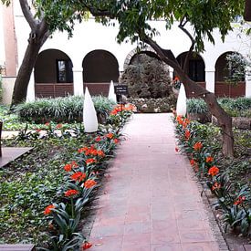 Charissa Strijbos Profile picture