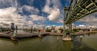Rotterdam is Huuuuge