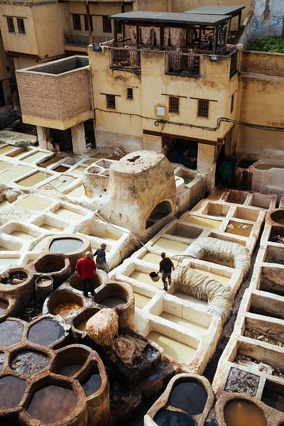 Fez tannery by Cécile Bok