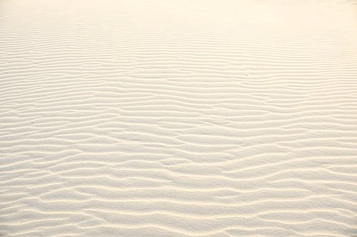 Rippling sand on the beach at sunset by Caroline Drijber Guérain