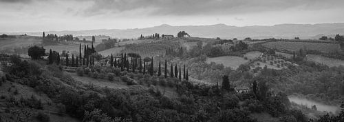 Monochrome Tuscany in 6x17 format, landschap nabij San Gimignano