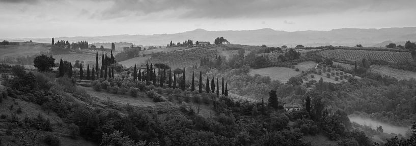 Toscane monochrome au format 6x17, paysage près de San Gimignano par Teun Ruijters