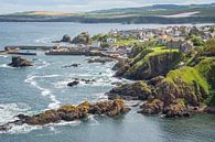St. Abbs an der Küste in Schottland von Arja Schrijver Fotografie Miniaturansicht