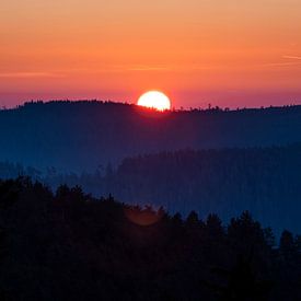 Der Schwarzwald, Deutschland von Marieke Feenstra