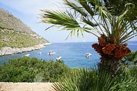 Vue de la baie de Sicile