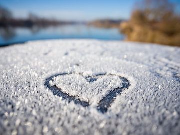 A quiet promise in the hoarfrost by t.ART