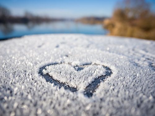 Een stille belofte in de rijp