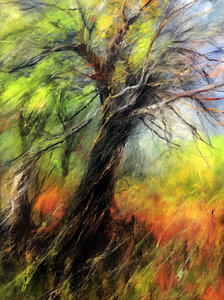 Pastell Wald 6