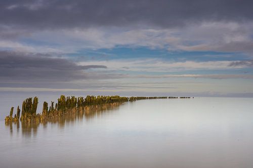 Repos sur les vasières près de Wierum