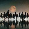 Kudde paarden in de avond aan zee von Jan Keteleer