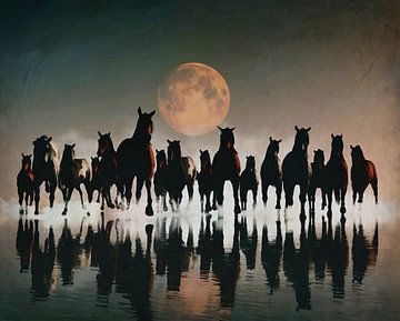 Kudde paarden in de avond aan zee