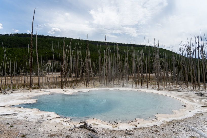 Thermal area in Yellowstone national park, USA by Jeroen van Deel