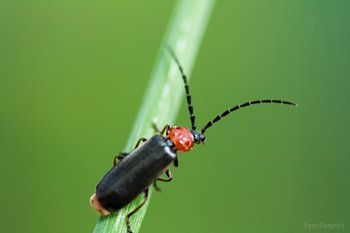 small and wonderfull