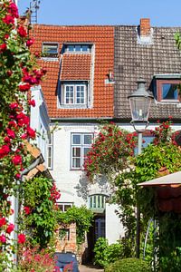 Rosengang, Lübeck, Schleswig-Holstein, Deutschland, Europa