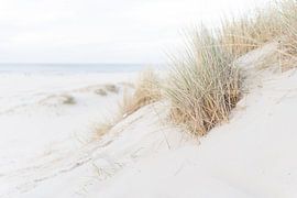 Helmgras strand Vlieland van Dave Oudshoorn