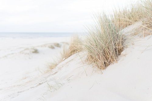 Plage d'Helmgras à Vlieland