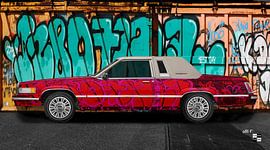 Ford Thunderbird Box Bird Graffiti Art Car