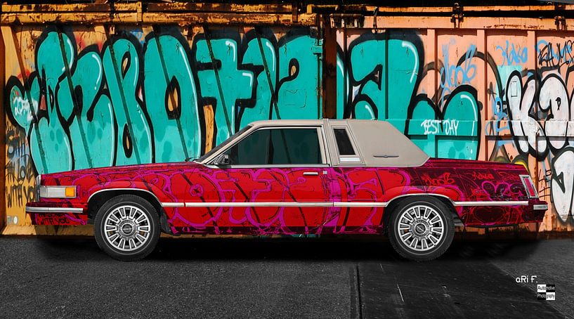 Ford Thunderbird Box Bird Graffiti Art Car by aRi F. Huber