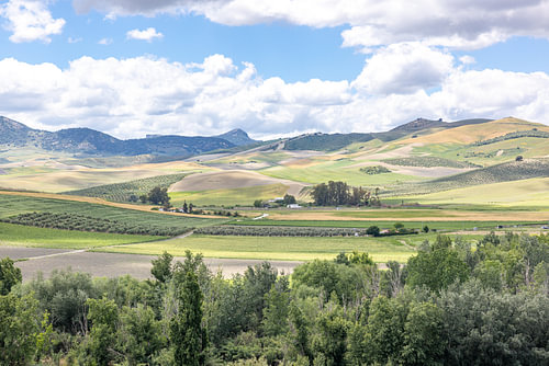 Glooiend platteland in het binnenland van Andalusië