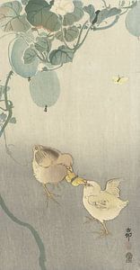 Two chicks fighting for butterfly from Ohara Koson