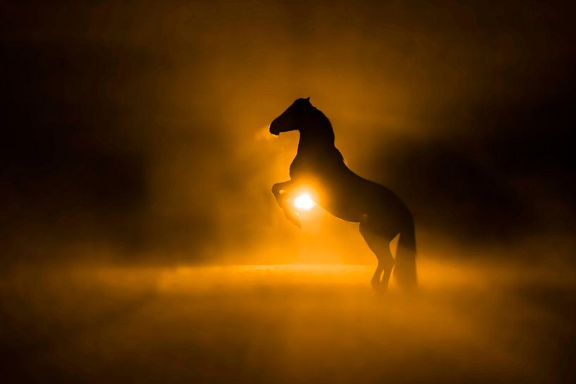 Outline of Primal Power - Horse in Backlight by Femke Ketelaar