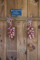 Tresse Echalotte 