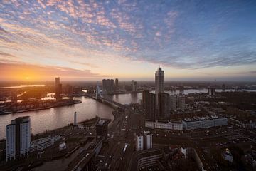 Ontdek de schoonheid van Rotterdam van Roy Poots