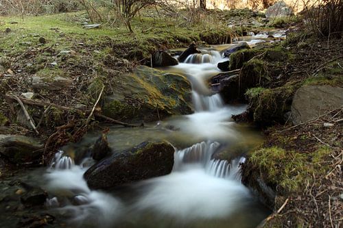 La rivière