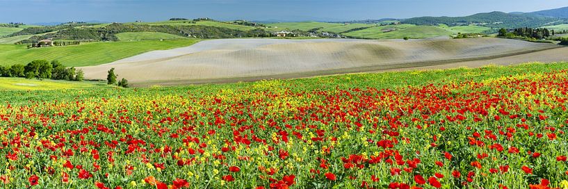 Landschap rond San Quirico d'Orcia, Val d'Orcia, Toscane van Walter G. Allgöwer