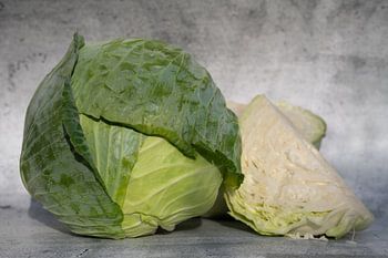 White cabbage in front of a grey wall