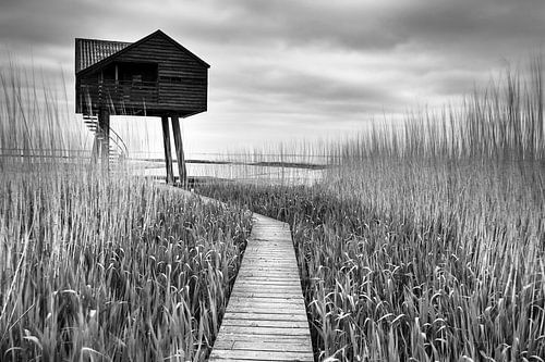 The so-called Kiekkaste near Nieuw Statenzijl in Groningen
