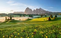 Seiser Alm Tyrol du Sud par Achim Thomae Aperçu