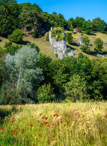 Rotsen op een heuvel in het Altmühltal bij Solnhofen