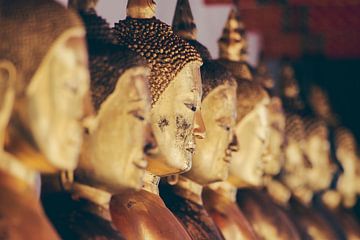 Rij met Thaise Buddhas van Misja Vermeulen