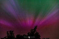 northern light show by Remco Ditmar thumbnail