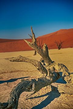 Dead vlei Namibie van Danielle van Leeuwaarden