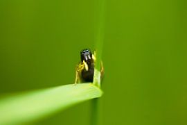 Interesting by Sébastiaan Stevens