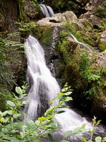 Chute d'eau dans les Vosges France