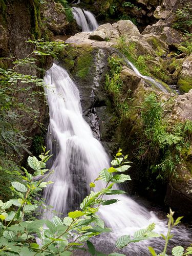 waterval in de vogezen Frankrijk