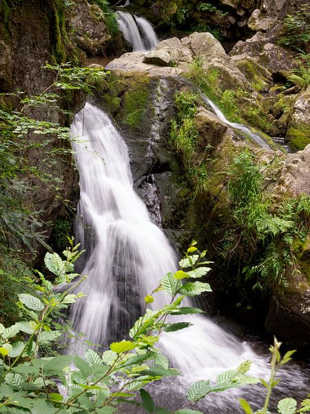 Waterfall in the Vosges France by Delphine Kesteloot
