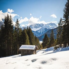 Cabane de montagne dans la neige entre les arbres dans la chaîne de montagnes autrichienne sur KB Design & Photography (Karen Brouwer)