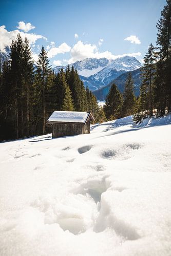 Berghutje in de sneeuw tussen de bomen in de Oostenrijkse bergen