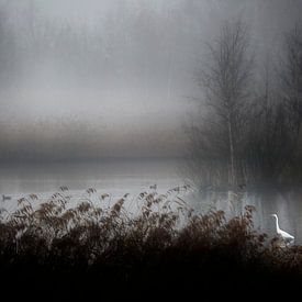 Heron in the fog by Esther Hereijgers