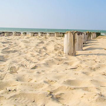Het strand van Wesley Van Kerckvoorde